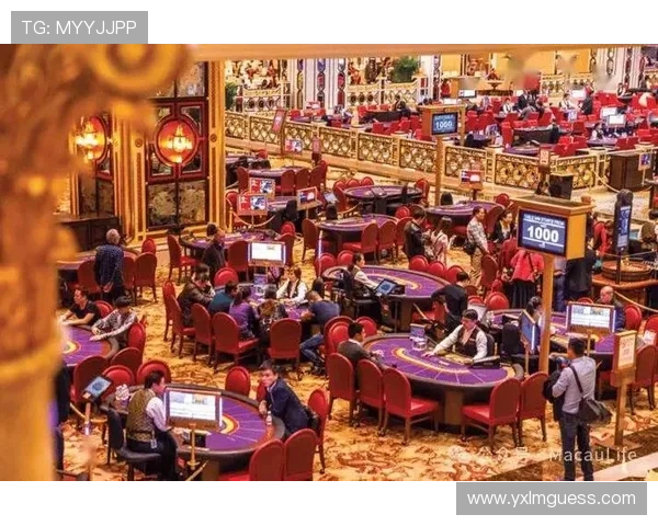 澳门赛区完成所有项目运行测试，场馆投入运作